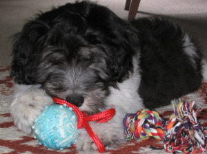 Mio am Ball