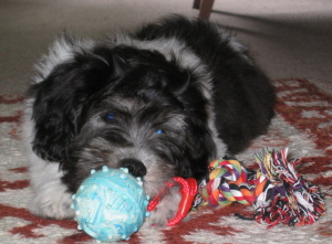 Mio am Ball