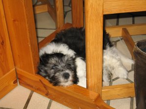 Mio hat seinen Stammplatz